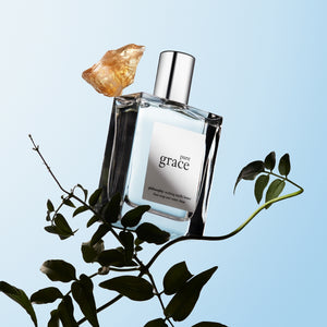 fragrance